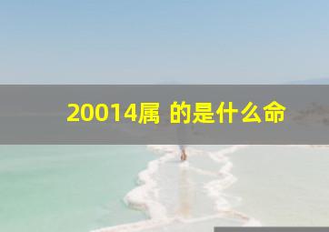 20014属 的是什么命